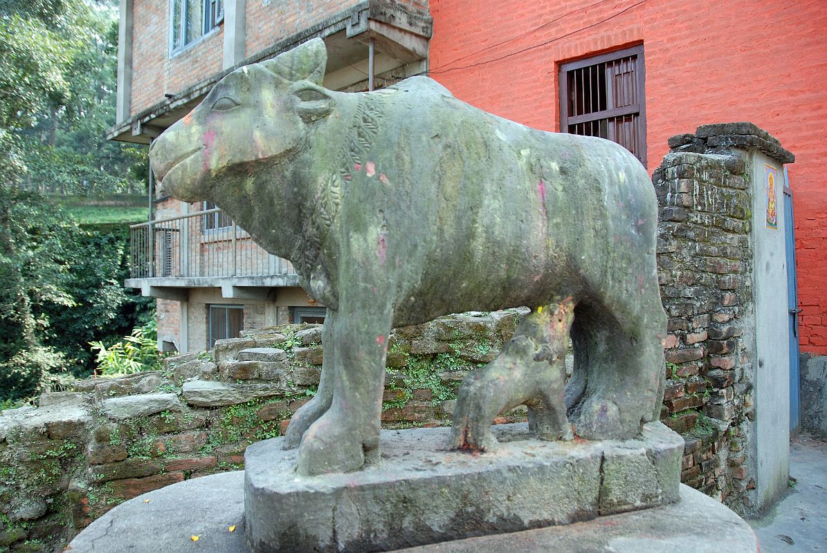 34 Kathmandu Gokarna Mahadev Temple Kamadahenu The Sacred Cow Statue 